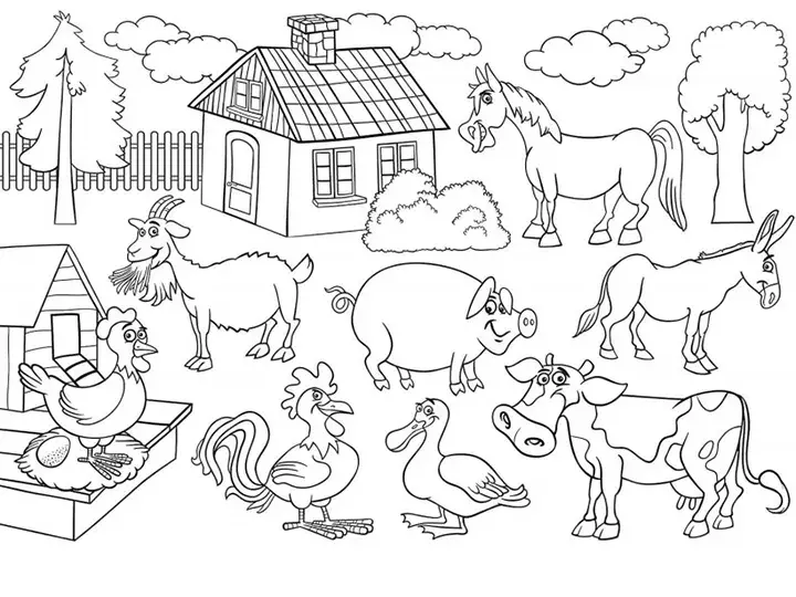 gbc AlbumDaColorare AdesivoA4 5soggetti Per bambini dai 3 anni in poi. Album da colorare formato A4 (20x297cm) 5fogli per 5soggetti, Adesivo removibile atossico a base acqua specifico per bambini. Aderisce su tutta la superficie. MADE IN GERMANY..