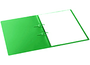 gbc Cartellina StripBinder Avanti VERDE A4 (233x315mm). Cartellina con due fascette per il fissaggio dei documentiI meccanismo di fissaggio StripBinder consente di sfogliare le pagine con facilit..