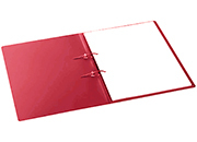 gbc Cartellina StripBinder Avanti ROSSO A4 (233x315mm). Cartellina con due fascette per il fissaggio dei documentiI meccanismo di fissaggio StripBinder consente di sfogliare le pagine con facilit..