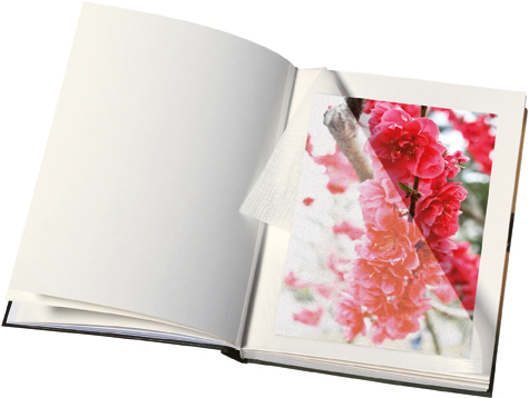 gbc Album foto con 30 fogli in cartoncino+velina. Formato 30x33cm Possibilit di inserire foto di vari formati. Rilegatura a libro cartonata rigida in VinylPelle MARRONE.