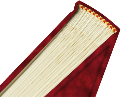 gbc Album foto con 40 fogli in cartoncino+velina. Formato 26x30cm Possibilit� di inserire foto di vari formati. Rilegatura a libro cartonata rigida in VinylPelle MARRONE.