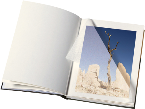 gbc Album foto con 30 fogli in cartoncino+velina. Formato 26x30cm Possibilit di inserire foto di vari formati. Rilegatura a libro cartonata rigida in VinylPelle MARRONE.