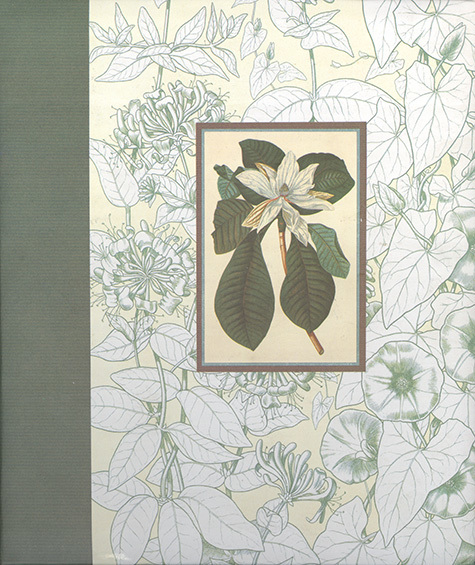 gbc Album foto a tasca per 120 foto. Ogni facciata contiene 2 foto 10x15cm Formato volume 20x23cm. Copertine soggetto -Fiore bianco-. Rilegatura cartonata rigida.