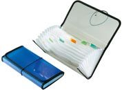 gbc Portadocumenti in PP con divisori, con elastico e bordatura in nylon 13 scomparti con targhette indicatrici, Colori assortiti, formato: 27x14x3,5 cm LEB2513ASS
