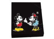 gbc CARTELLINA DORSO 3 CM DISNEY .