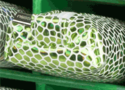 gbc Saccucciolo, astuccio per matite LEB80605ave.