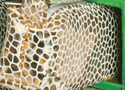 gbc Saccucciolo, astuccio per matite MARRONE, fantasia a mosaico, forma allungata in altezza, in PU* LEB80605bma