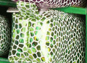 gbc Saccucciolo, astuccio per matite LEB80605bve.