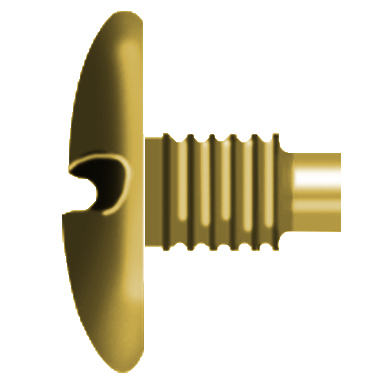 legatoria Testa per viti sepolte ottonate,  testa diametro 10mm.