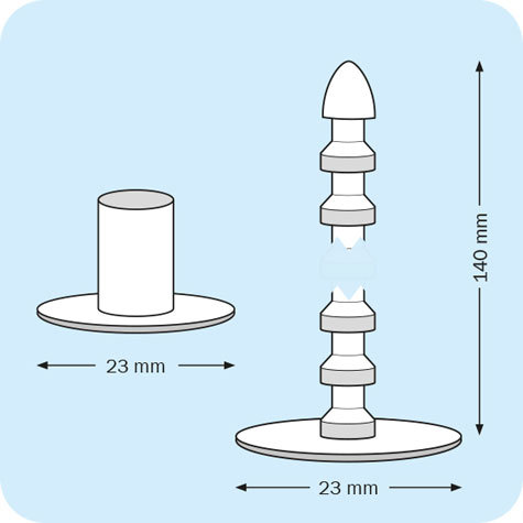 legatoria: leg2698