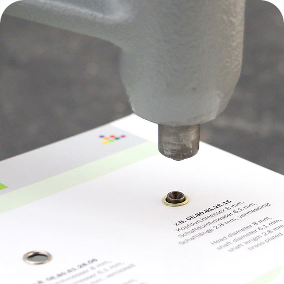 legatoria Punzone inferiore per occhielli diametro 3,5 mm ricambio inferiore per applicazione di occhielli di diametro 3,5 mm..