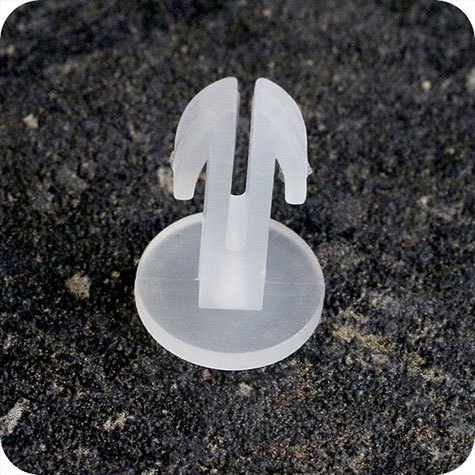 legatoria Perno Plug-in, lunghezza 6mm TRASPARENTE..