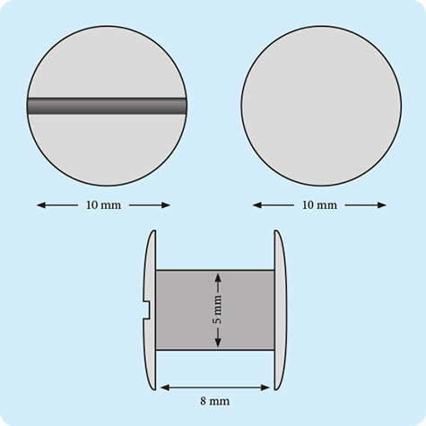 legatoria Viti sepolte rilegatura, INOX, 8mm lunghezza 8 mm, testa diametro 10mm, tubetto diametro 5mm, una testa fissa ed una mobile. Per lunghezza, si intende la distanza INTERNA tra le due teste, che corrisponde allo spessore del volume da rilegare.