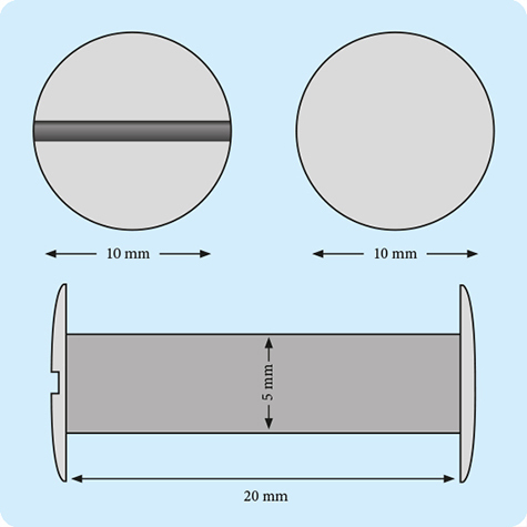 legatoria Viti sepolte rilegatura verniciate 20mm BIANCO, in metallo verniciato, lunghezza mm 20. Testa diametro 10mm, tubetto diametro 5mm, una testa fissa ed una mobile. Per lunghezza, si intende la distanza INTERNA tra le due teste, che corrisponde allo spessore del volume da rilegare.