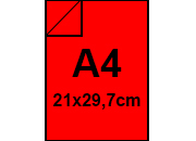 legatoria: bra493