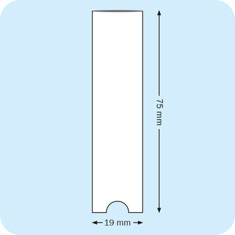 legatoria PortaEtichetteAdesivo EtichettaIntercambiabile, 19x75mm Formato 75x19mm. In vinile trasparente (colla acrilica trasparente) per inserire etichette sul dorso dei raccoglitori ad anelli.