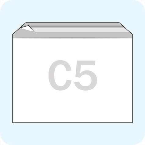 legatoria Sacchetto con chiusura autoadesiva, 229x162mm TRASPARENTE, in polipropilene da 100 micron, con patella da 30mm e banda autoadesiva di chiusura sul lato lungo, adatta anche per mailing.