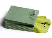 gbc Shopper a righe 26x32,7cm, spessore 13cm VERDE.  Con bigliettino integrato nel manico.