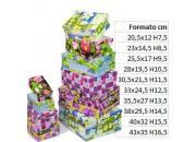 SET 10 SCATOLE "KATE" NIJ60193