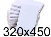 consumabili Cartoncino laser bianco 220 grammi x mq, formato 320x450mm, 250 fogli per risma.