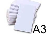 carta A3, 120gr, carta multiuso per stampanti laser e ink-jet Carta di pura cellulosa ad elevato punto di bianco (168), RED label.