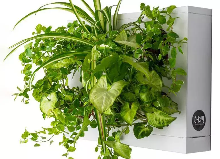 gbc HOH! ModuloSingolo 38x27x7cm BIANCO Giardino verticale componibile ors1