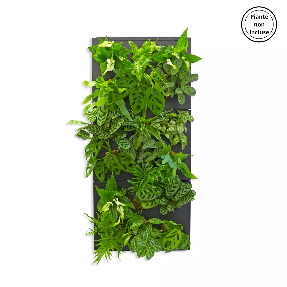 gbc HOH! Telaio x3moduliVerticali NERO Giardino verticale componibile. Telaio per comporre tre moduli in verticale. Moduli esclusi..