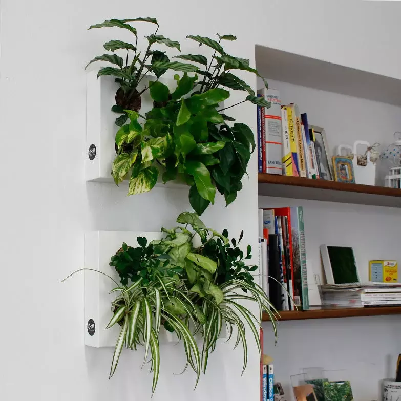 gbc HOH! Staffa x2moduliVerticali. AcciaioINOX Giardino verticale componibile. Staffa per comporre due moduli in verticale. Moduli esclusi..