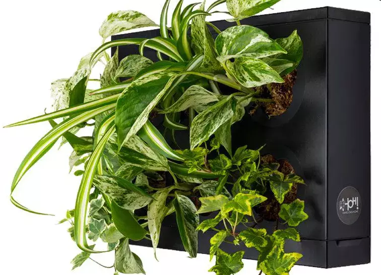 gbc HOH! ModuloSingolo 38x27x7cm NERO Giardino verticale componibile ors2