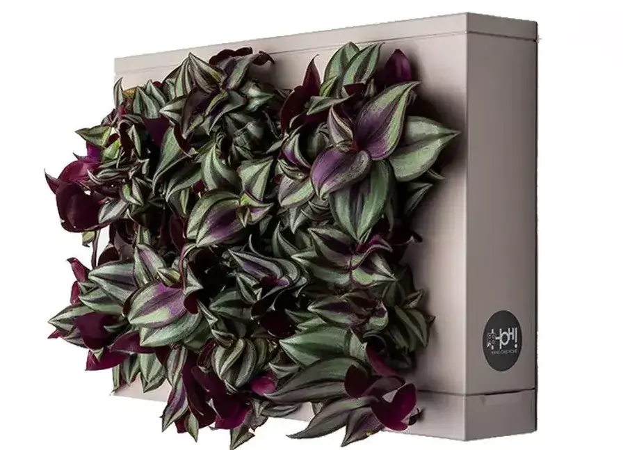 gbc HOH! ModuloSingolo 38x27x7cm GRIGIO Giardino verticale componibile ors3