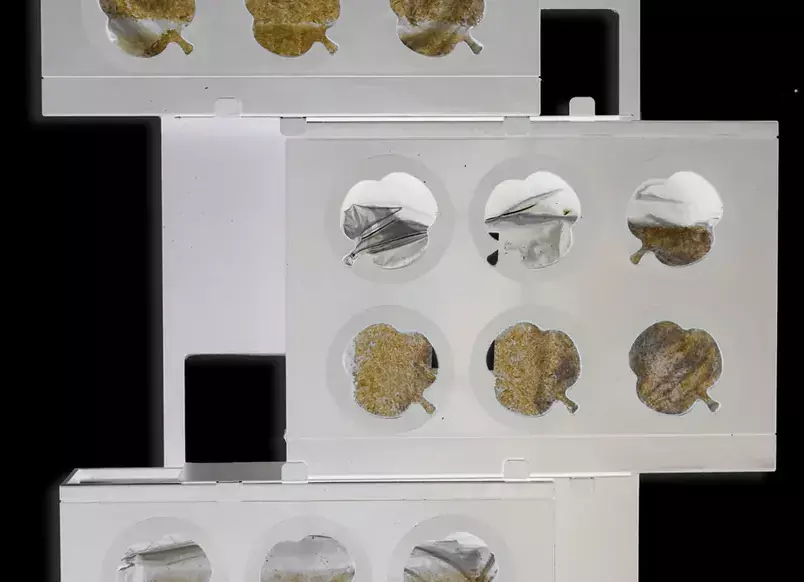 gbc HOH! Telaio x3moduliVerticali BIANCO Giardino verticale componibile. Telaio per comporre tre moduli in verticale. Moduli esclusi. ors4