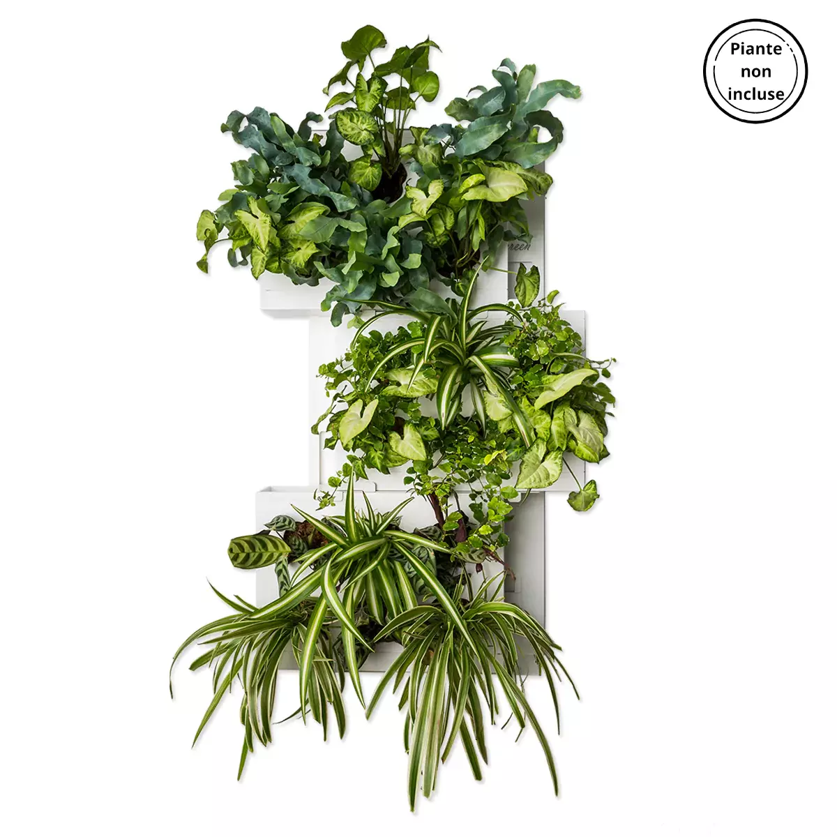 gbc HOH! Telaio x3moduliVerticali BIANCO Giardino verticale componibile. Telaio per comporre tre moduli in verticale. Moduli esclusi..