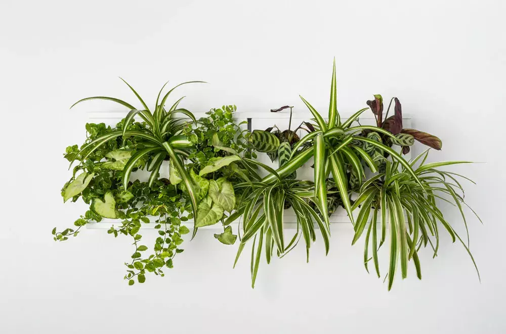 gbc HOH! Telaio x2moduliOrizzontali BIANCO Giardino verticale componibile. Telaio per comporre due moduli in orizzontale. Moduli esclusi..