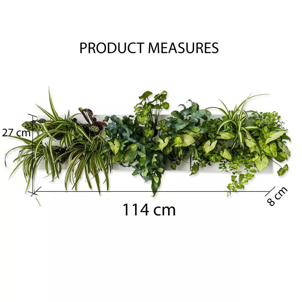 gbc HOH! Staffa x3moduliOrizzontali. AcciaioINOX Giardino verticale componibile. Staffa per comporre tre moduli in orizzontale. Moduli esclusi..
