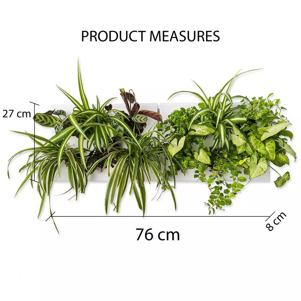 gbc HOH! Staffa x2moduliOrizzontali. AcciaioINOX Giardino verticale componibile. Staffa per comporre due moduli in orizzontale. Moduli esclusi..