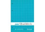 gbc Quablock4fori, formatoA5, 60fogli70grammi, quadretti4mm, BIANCO pig102873.