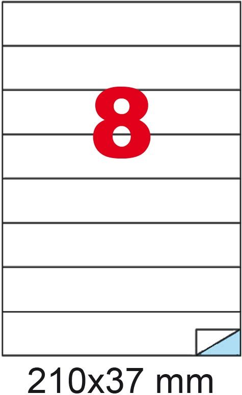 wereinaristea: bra3151