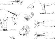 trasferibilir41 Animali vari, NERO. Trasferelli-Trasferibili R41 in fogli 9x25cm R41GRA425N.