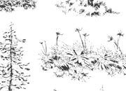 trasferibilir41 Alberi in alzato, NERO. Trasferelli-Trasferibili R41 in fogli 9x25cm R41GRA617N.