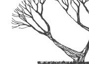 trasferibilir41 Alberi in alzato, NERO. Trasferelli-Trasferibili R41 in fogli 9x25cm. p. 342 R41GRA632n.