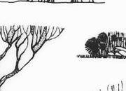 trasferibilir41 Alberi in alzato, NERO. Trasferelli-Trasferibili R41 in fogli 9x25cm. p. 342 R41GRA634n.