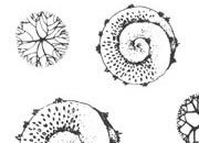 trasferibilir41 Alberi in pianta, NERO. Trasferelli-Trasferibili R41 in fogli 9x25cm. p. 339 R41GRA636n.
