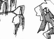 trasferibilir41 Alberi in alzato, NERO. Trasferelli-Trasferibili R41 in fogli 9x25cm. p. 342 R41GRA641n.