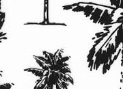 trasferibilir41 Alberi in alzato, NERO. Trasferelli-Trasferibili R41 in fogli 9x25cm. p. 342 .