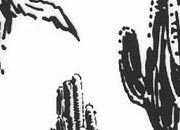 trasferibilir41 Alberi in alzato, NERO. Trasferelli-Trasferibili R41 in fogli 9x25cm. p. 342 .