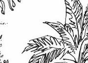 trasferibilir41 Alberi in alzato, NERO. Trasferelli-Trasferibili R41 in fogli 9x25cm. p. 341 .