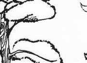 trasferibilir41 Alberi in alzato, NERO. Trasferelli-Trasferibili R41 in fogli 9x25cm. p. 342 .