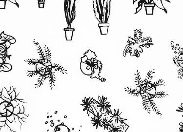 trasferibilir41 Fiori, NERO. Trasferelli-Trasferibili R41 in fogli 9x25cm .