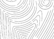 trasferibilir41 curvilinee, NERO. Trasferelli-Trasferibili R41 in fogli 9x25cm .