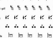 trasferibilir41 Simboli turistici, NERO. Trasferelli-Trasferibili R41 in fogli 9x25cm. p. 229 R41GRG1313N.